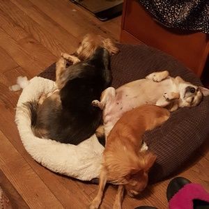 Meet your Posher, Joyce